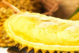 Ẩm thực - Mùa sầu riêng, bỏ túi 3 mẹo này để chọn quả vừa ngọt vừa dôi cơm