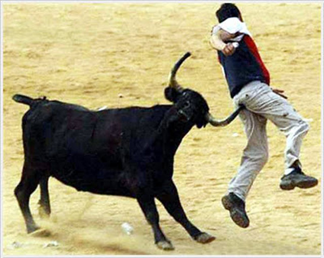 Chạy đâu cho thoát hả anh trai.
