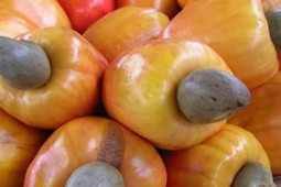 Sức khỏe đời sống - Loạt hạt mà chị em tín nhiệm để giảm cân, đẹp da, tốt cho tim mạch, nhưng nếu thuộc 1 trong 4 nhóm người này được khuyến cáo không nên ăn