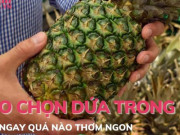 Ẩm thực - Mẹo chọn dứa chín trong 5 giây biết ngay quả thơm ngon