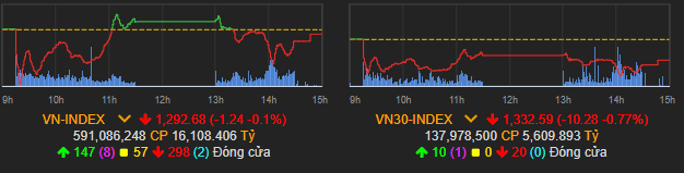 Cả VN-Index và VN30 đều lao dốc