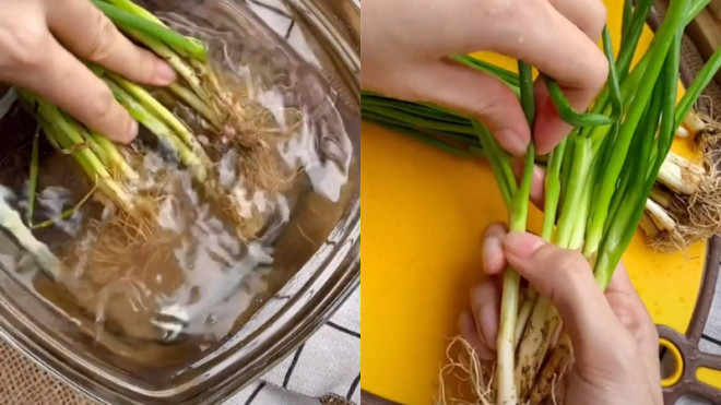 Notes when choosing, storing and using green onions - 7