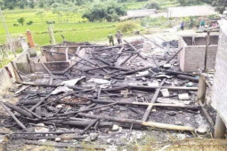 Pháp luật - Cháu truy sát vợ chồng chú thím rồi tự sát, 2 người thương vong