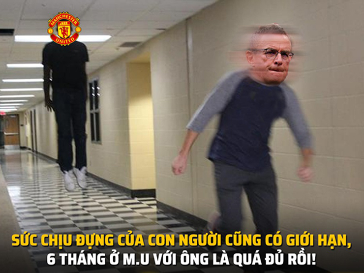 Tranh vui - Ảnh chế: HLV Ralf Rangnick chính thức "cuốn gói" rời khỏi MU