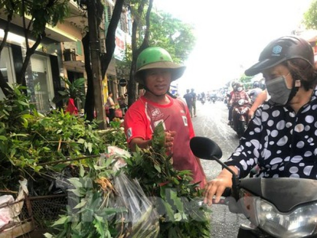 Thị trường - Tiêu dùng - "Bán hết xe lá xông, kiếm được 500.000 đồng…"