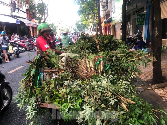 Ông Lê Văn Hi mong bán hết xe lá xông sớm trong ngày Tết Đoan Ngọ