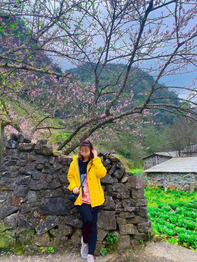 Ngân bên bức tường đá