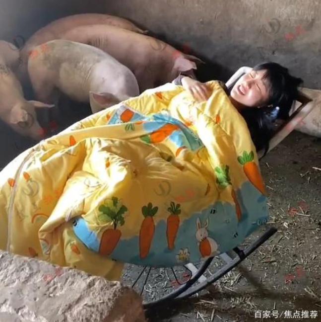 Cô gái trẻ có sở thích ngủ trong chuồng lợn khiến cộng đồng mạng tranh cãi - 1