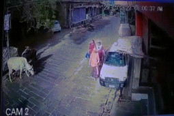 Phi thường - kỳ quặc - Video: Hoảng hốt khoảnh khắc cây xanh bật gốc đột ngột, đè trúng nhiều người đi đường ở Ấn Độ