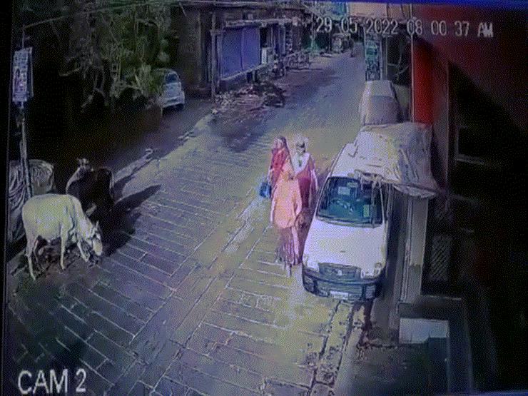 Phi thường - kỳ quặc - Video: Hoảng hốt khoảnh khắc cây xanh bật gốc đột ngột, đè trúng nhiều người đi đường ở Ấn Độ