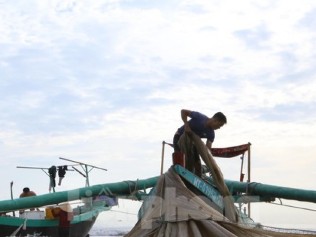 Thị trường - Tiêu dùng - Ngư dân Hà Tĩnh trúng đậm cá mờm, mỗi ngày kiếm tiền triệu