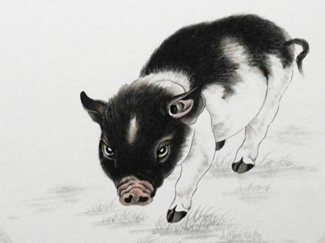 Bạn trẻ - Cuộc sống - Người tuổi Hợi sinh vào 3 giờ này đặc biệt kiếm tiền giỏi