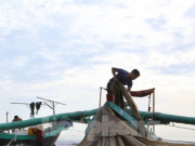 Thị trường - Tiêu dùng - Ngư dân Hà Tĩnh trúng đậm cá mờm, mỗi ngày kiếm tiền triệu
