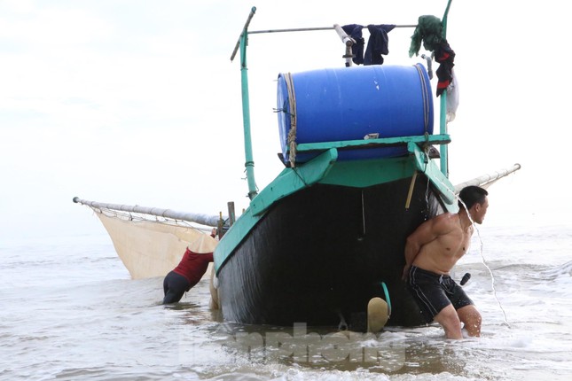 Cá mờm phơi khô cũng được bán với giá rất cao từ 250-300 nghìn đồng/kg. Mỗi ngày ngư dân có thể kiếm tiền triệu.
