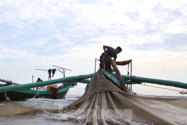 Từ sáng đến giờ, hàng chục chiếc thuyền cứ nối đuôi nhau cập bến đưa cá vào bờ. Thuyền nào cá cũng chất đầy khoang, cứ đưa cá vào rồi lại nhổ neo quay ra đánh bắt tiếp, đến 11h,12h mới về.