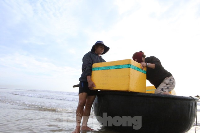 Cá mờm khi vừa được vận chuyển lên bờ đang tươi rói được thương lái thu mua ngay tại bờ. Giá nhập từ 40 nghìn - 45 nghìn đồng/kg.