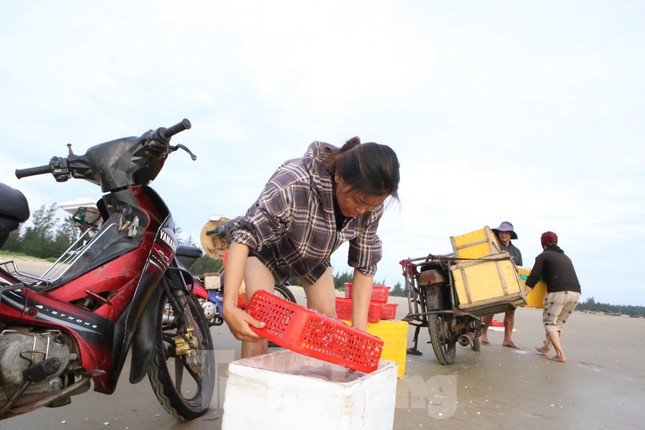Chị Nguyễn Thị Liên (thôn Đông Văn) chia sẻ: “Sáng hôm nay chồng tôi được 2 thùng xốp cá mờm, được gần 50-60kg, một phần được thương lái lấy tại chỗ, còn số còn lại trời nắng to nên sẽ đưa về phơi khô để bán cá mờm khô".