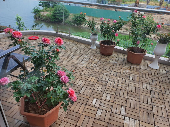 Biệt thự ngập tràn sắc hoa.