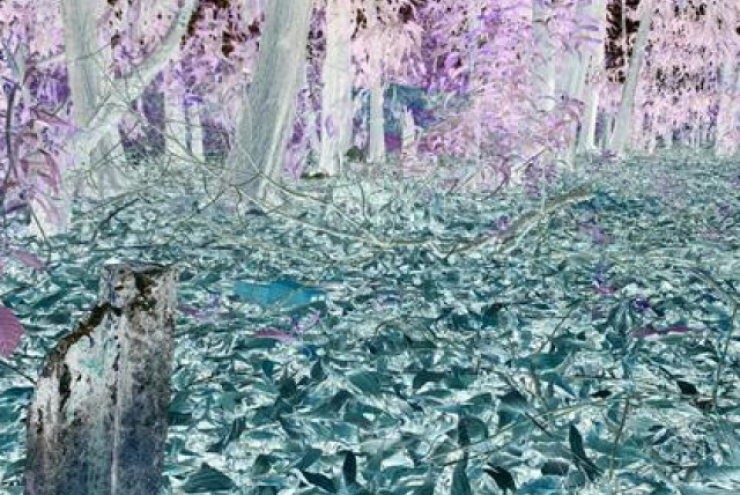 Kỳ án khu vườn "chôn xác" (P1): Những người đàn ông mất tích kỳ lạ