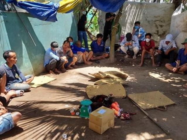 Pháp luật - Phá trường gà của “Toàn râu” ở Đồng Tháp