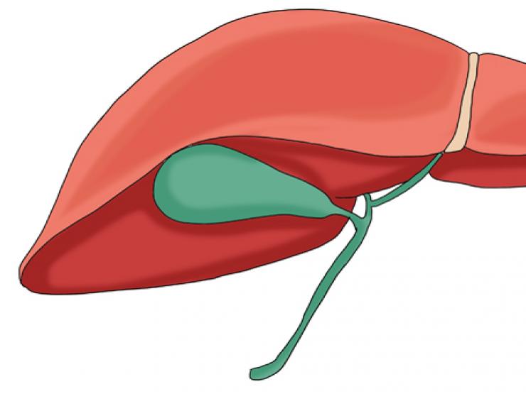 Sức khỏe đời sống - 3 thói quen ngủ không tốt chẳng khác nào "ném rác" vào gan