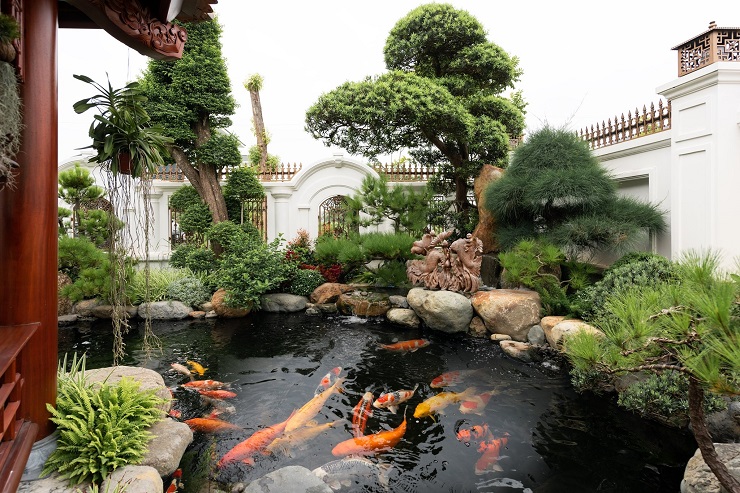 Biệt thự hoa lan nằm trên khu đất rộng hơn 1.000m2, trong đó căn nhà chiếm&nbsp;diện tích khoảng 200m2. Các khu vực còn lại là toàn bộ không gian dành cho sân vườn, khoảng 700m2.
