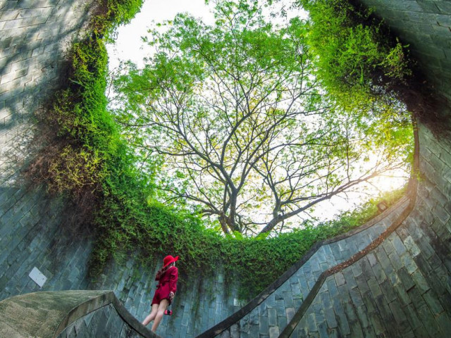 Du lịch - Những công viên xanh mướt mắt cỏ cây giữa đô thị khói bụi, ồn ào