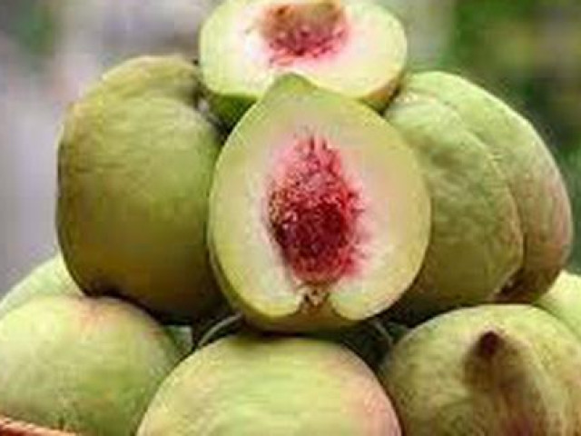 Những điều cần tránh khi ăn quả đào để không rước độc vào thân, 4 nhóm sau nên hạn chế