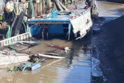 Tin tức trong ngày - Mất lái, sà lan tông trực diện 2 ghe cá trên sông Tiền