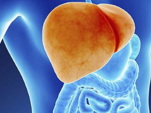 Sức khỏe đời sống - Dấu hiệu cảnh báo gan của bạn đang quá tải, 6 việc nên làm thường xuyên để thải độc gan, thanh lọc cơ thể
