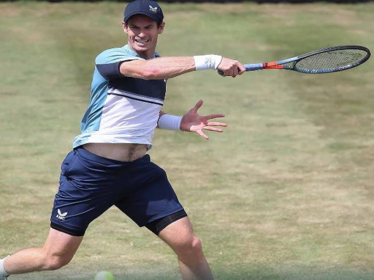 Thể thao - Medvedev vào bán kết ATP 250 ở Hà Lan, Murray hẹn đấu "trai hư" Kyrgios