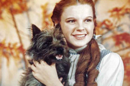 Phim - Nhận lương thấp khủng khiếp, bị quấy rối: Góc tối phim thiếu nhi kinh điển