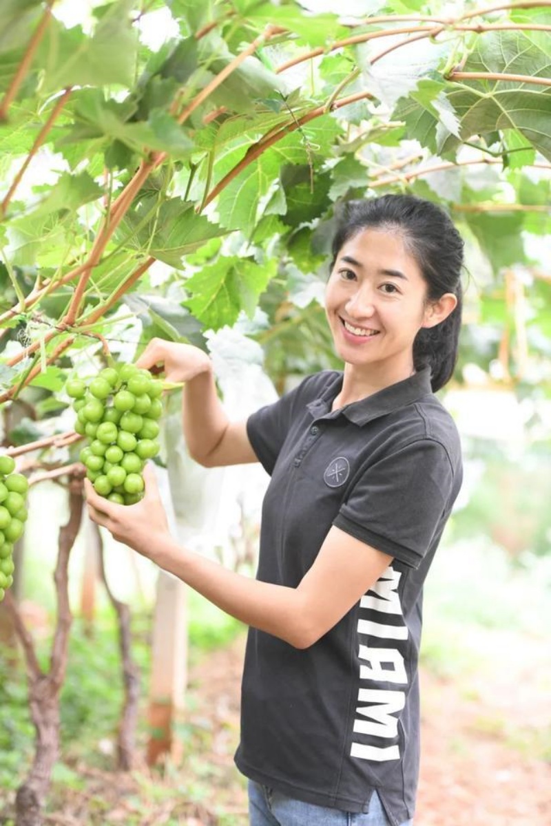 Bán nhà trồng thứ quả lạ, tưởng điên rồ mà hốt bạc mỏi tay dù bán rẻ bằng 1/7 thị trường - 2
