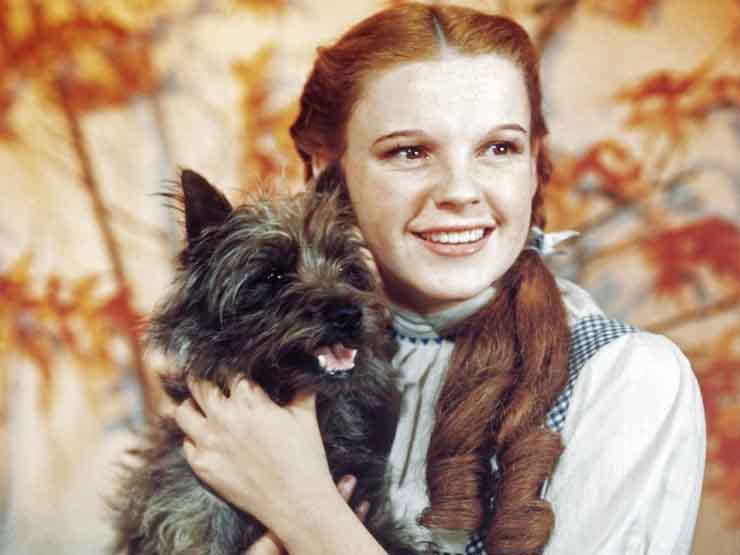 Phim - Nhận lương thấp khủng khiếp, bị quấy rối: Góc tối phim thiếu nhi kinh điển