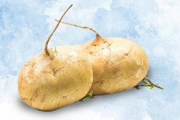 Sức khỏe đời sống - Không ngờ loại củ giá rẻ bèo, bán đầy chợ lại tốt cho sức khỏe đến vậy