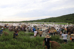 Tin tức trong ngày - Ngàn người ở Hà Tĩnh "đội nắng" vác nơm, lưới xuống đầm bắt cá cầu may