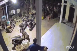 Phi thường - kỳ quặc - "Cẩu tặc" lẻn vào nhân trộm chó trong tích tắc khiến dân tình bức xúc