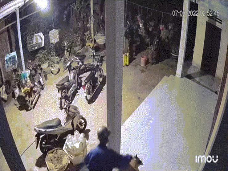 Phi thường - kỳ quặc - "Cẩu tặc" lẻn vào sân trộm chó trong tích tắc khiến dân tình bức xúc