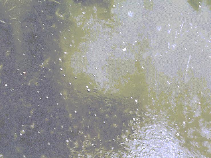 Tin tức trong ngày - TP.HCM bất ngờ xuất hiện mưa đá, dông mạnh