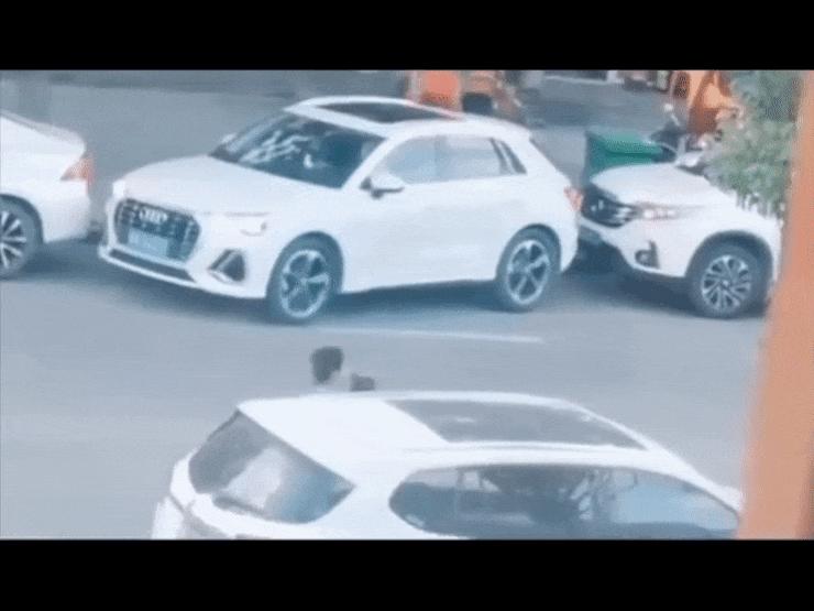 Ô tô - Clip: Bị xe ô tô đỗ chặn hai đầu, nữ tài xế vẫn "rời chuồng" siêu đỉnh