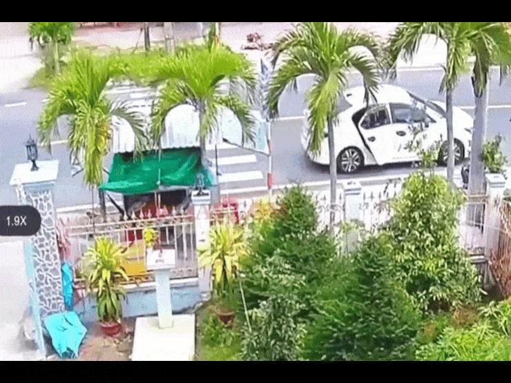 Ô tô - Clip: Đi ô tô nhưng dở thói "đạo tặc" trộm dừa của quán nước vỉa hè