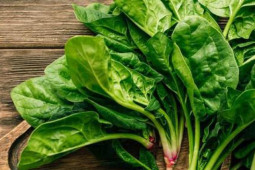 Ẩm thực - "Siêu thực phẩm" rau chân vịt rất bổ dưỡng nhưng cũng có thể gây nên sỏi thận, giảm hấp thụ canxi