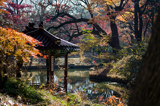 Cung điện Changdeokgung: Đây là cung điện lớn thứ hai trong 5 cung điện lớn ở Seoul. Cung điện Changdeokgung nổi tiếng với khu vườn bí mật rộng lớn, nơi có nhiều đền đài, hội trường linh thiêng và hệ sinh thái tự nhiên phong phú, tươi đẹp.&nbsp;
