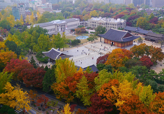 Cùng với Tử Cấm Thành ở Bắc Kinh, Seoul cũng được coi là một trong những điểm du lịch đặc sắc, mang đậm bản sắc văn hóa truyền thống qua những công trình kiến ​​trúc lâu đời, cổ kính và đẹp lộng lẫy. Cung điện Deoksugung nhìn từ trên cao đẹp tuyệt vời.
