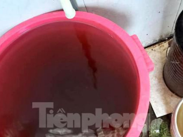 Tin tức trong ngày - Người dân bất an vì nước sinh hoạt đục ngầu, có mùi tanh