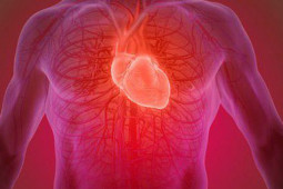 Sức khỏe đời sống - Gel thần kỳ có thể vá mô tổn thương người bị bệnh tim