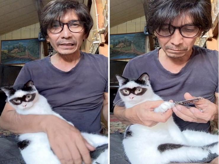 Bạn trẻ - Cuộc sống - Clip: Mèo con “gây sốt” khi giống anh hùng đeo mặt nạ Zorro