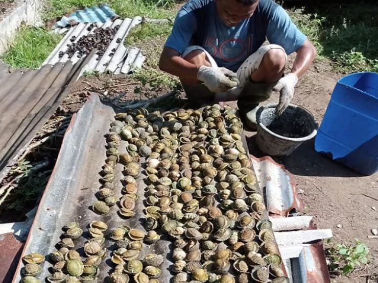 Thị trường - Tiêu dùng - Loài hải sản lạ ở Việt Nam, nghe tên dữ dằn nhưng là đặc sản nổi tiếng, giá 160.000 đồng/kg