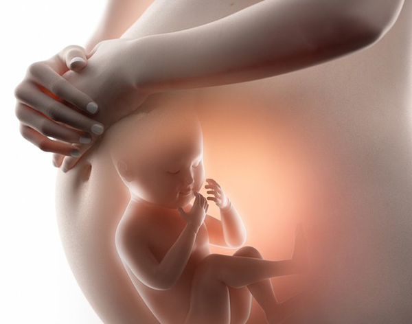 Trẻ có thể phát triển chiều cao rất tốt trong giai đoạn bào thai