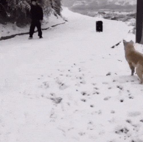 Những tình huống bất ngờ khiến cho bao người không kịp đỡ - 5